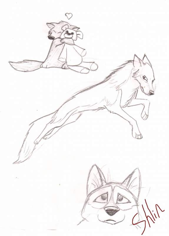 doodle