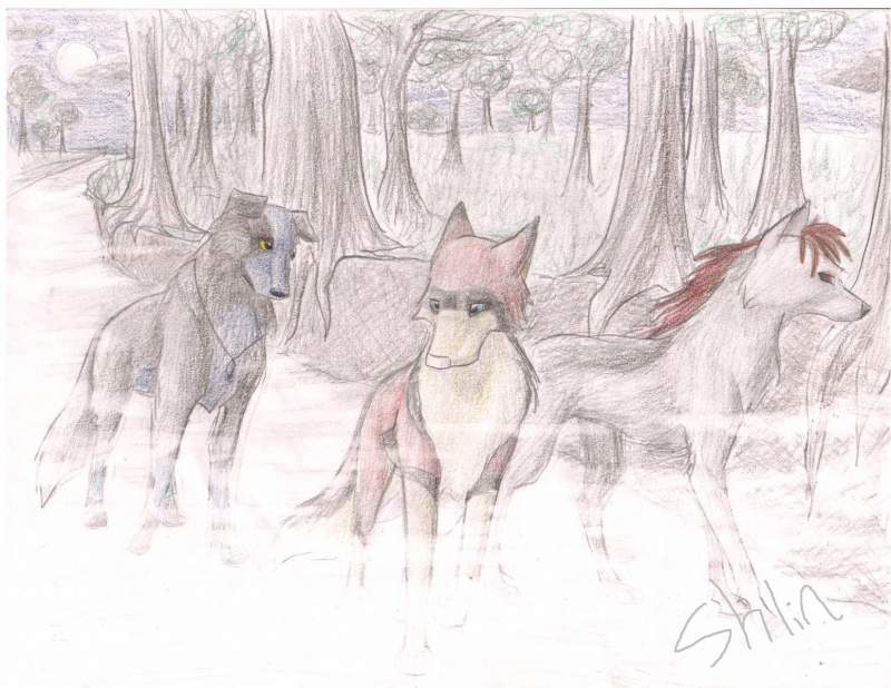 Journey Through the Mist
