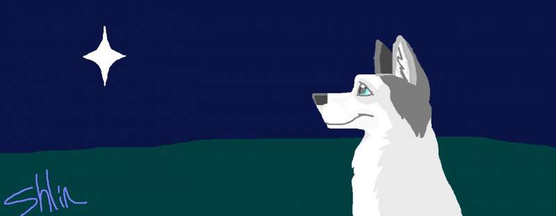Starlight in the starlight 