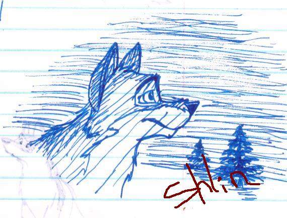 Balto doodle