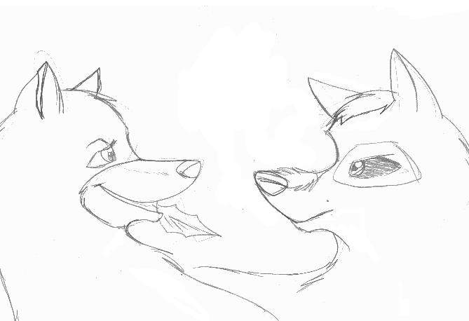 XMAS gift for Cat and Draco