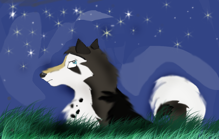 Starry night