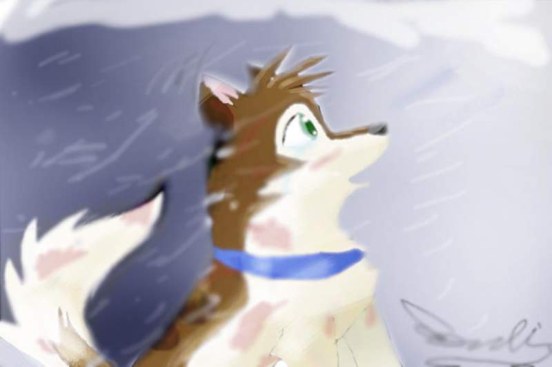 Lost in the blizzard fic teaser.