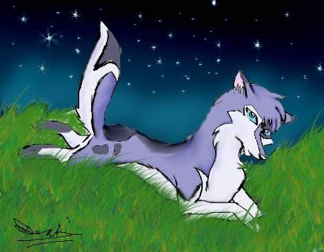 Mistic night