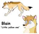 Blain
