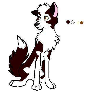 Dingo