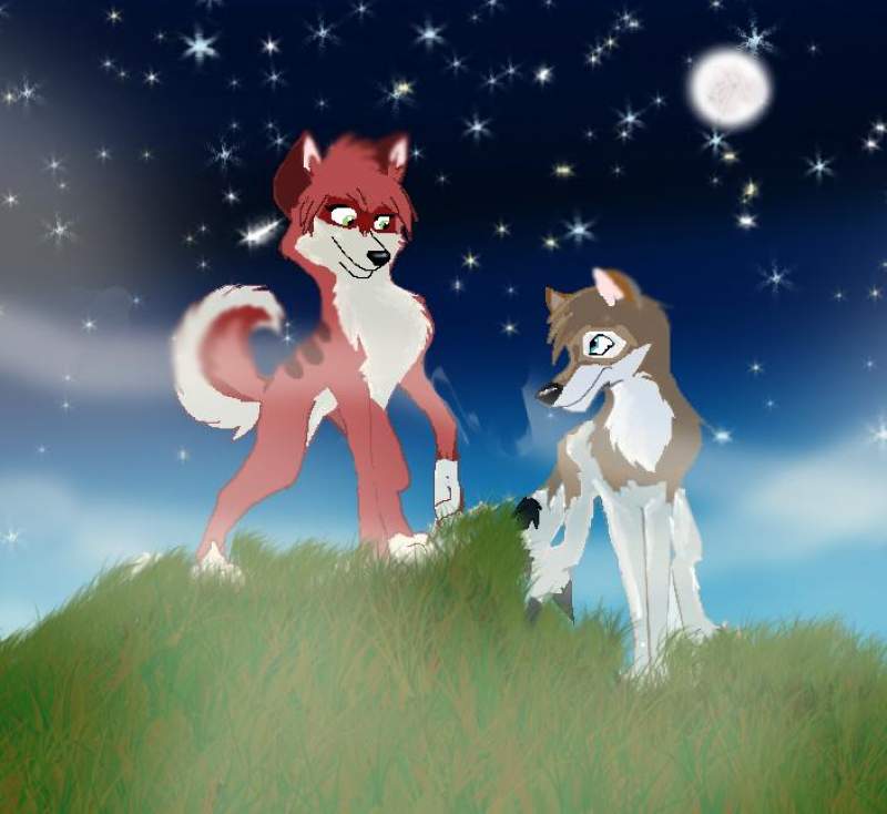 beautiful starlight