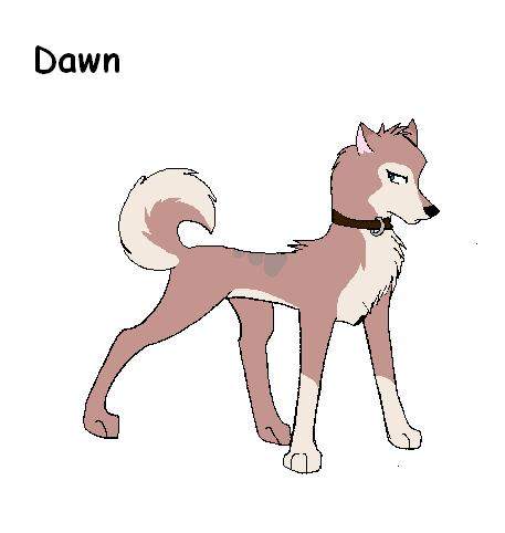 Dawn 