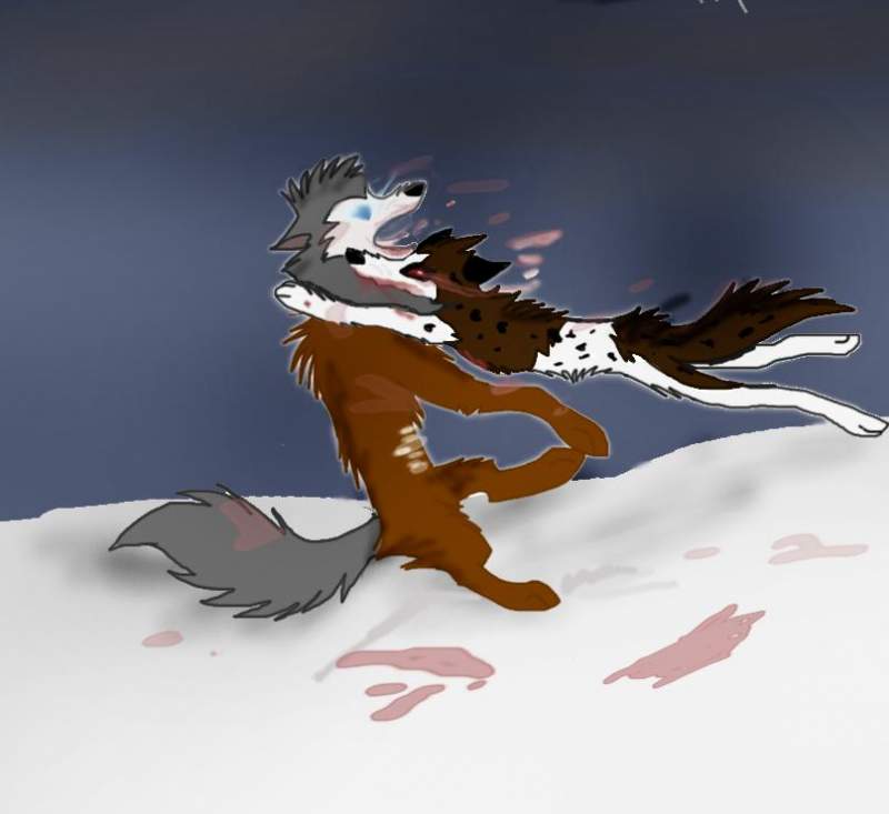 le brawl