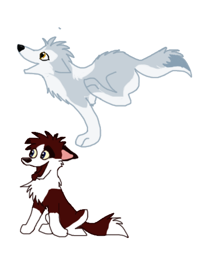 Dingo and Bluedash's pup