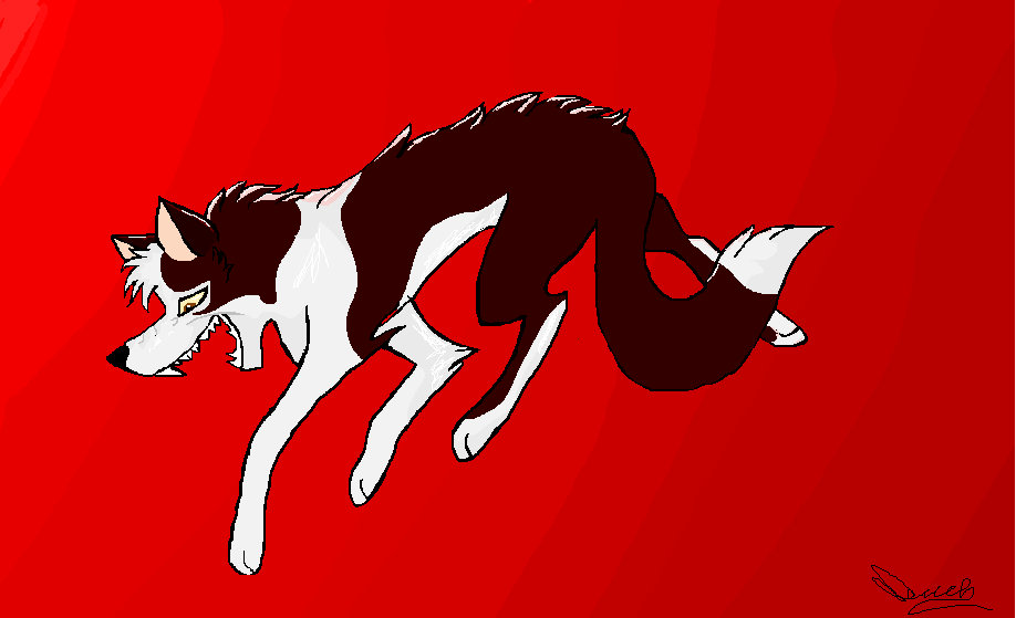 Dingo goes mad and crazy