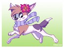 Just DASH