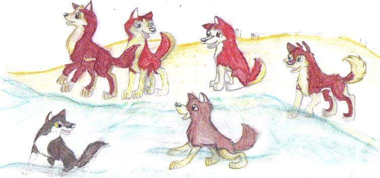 Puppies playing at the beach