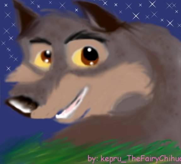 Balto in tal grass