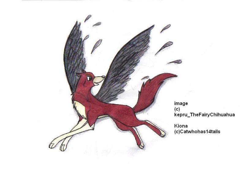 Kiona (c)Catwhohas14tails