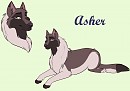 Asher