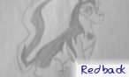 Redback
