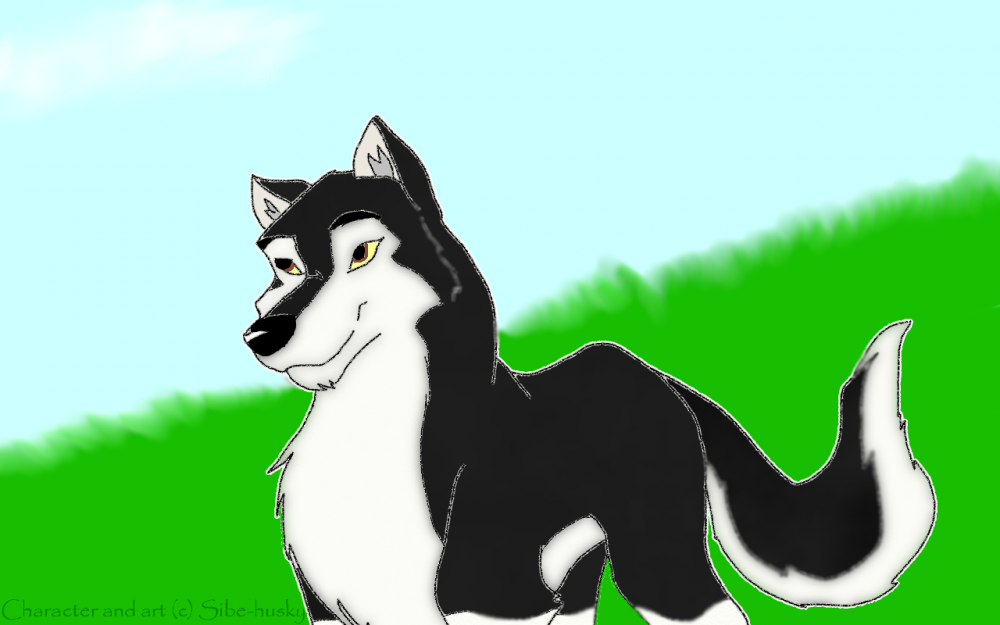 Valbone - me as a Sled Dog.