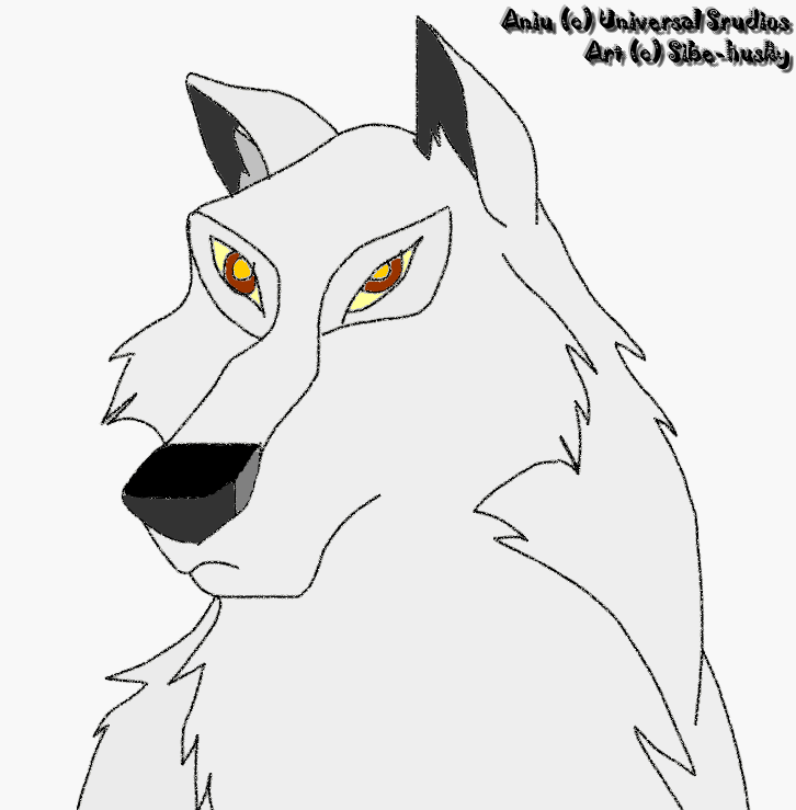 Aniu, the White Wolf