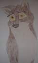 Balto