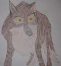 Balto