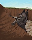 Balto - TLK