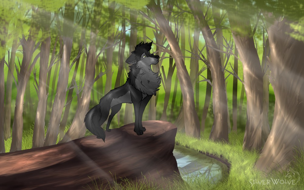 Woods of freedom