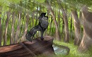 Woods of freedom