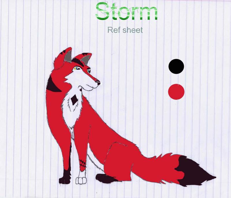 Storm ref sheet