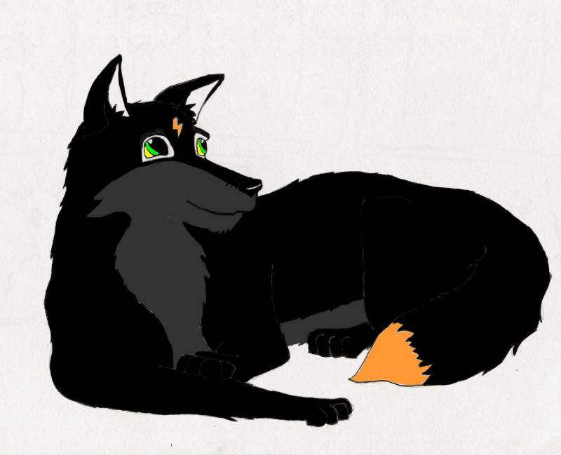 HP as a wolf