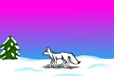 WhiteWolf--WSP Christmas Gift