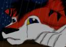 Alone in the rain