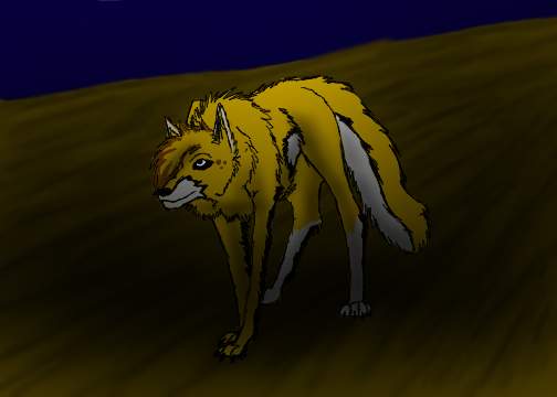 Ren walking