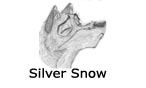 Silver_Snow