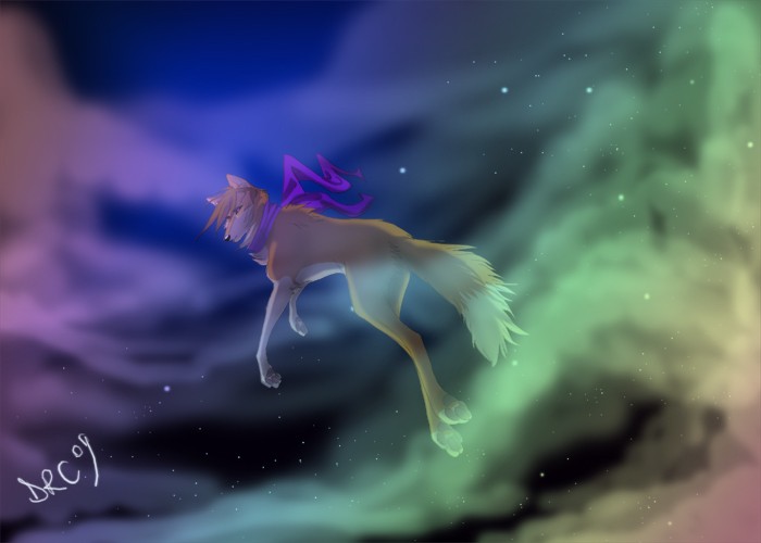 Dare to dream