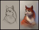 Jenna study