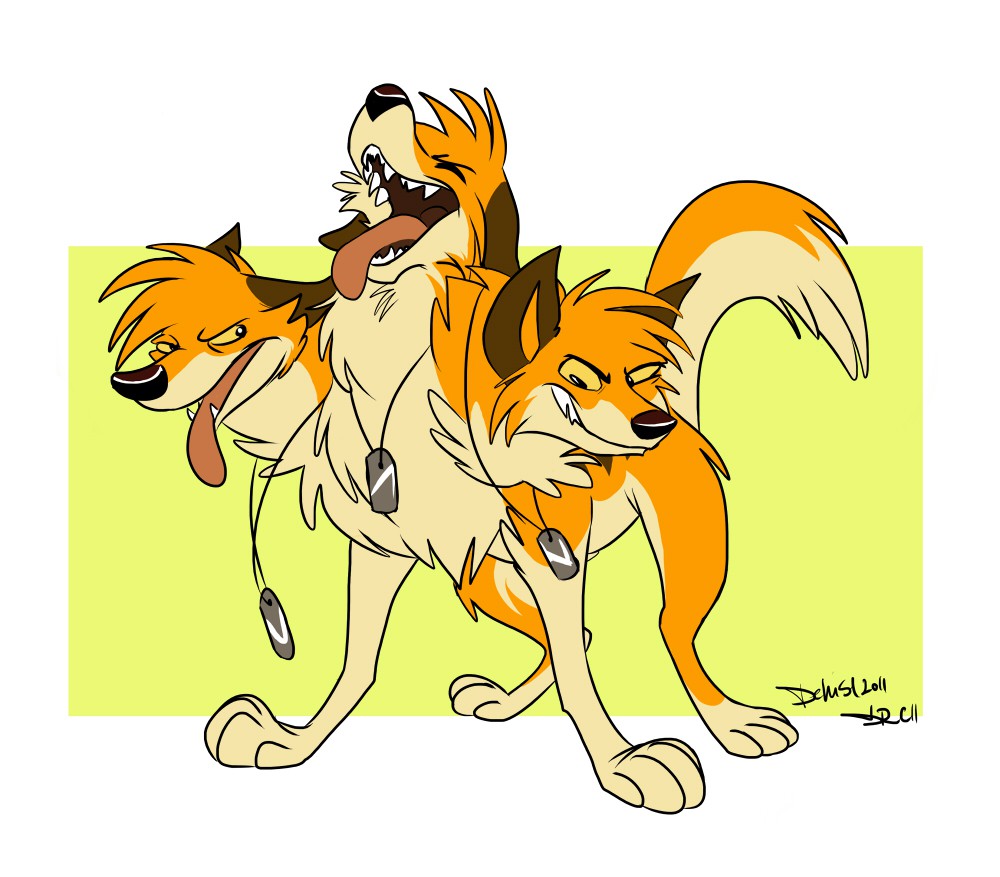 Deni cerberus 