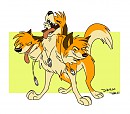 Deni cerberus 