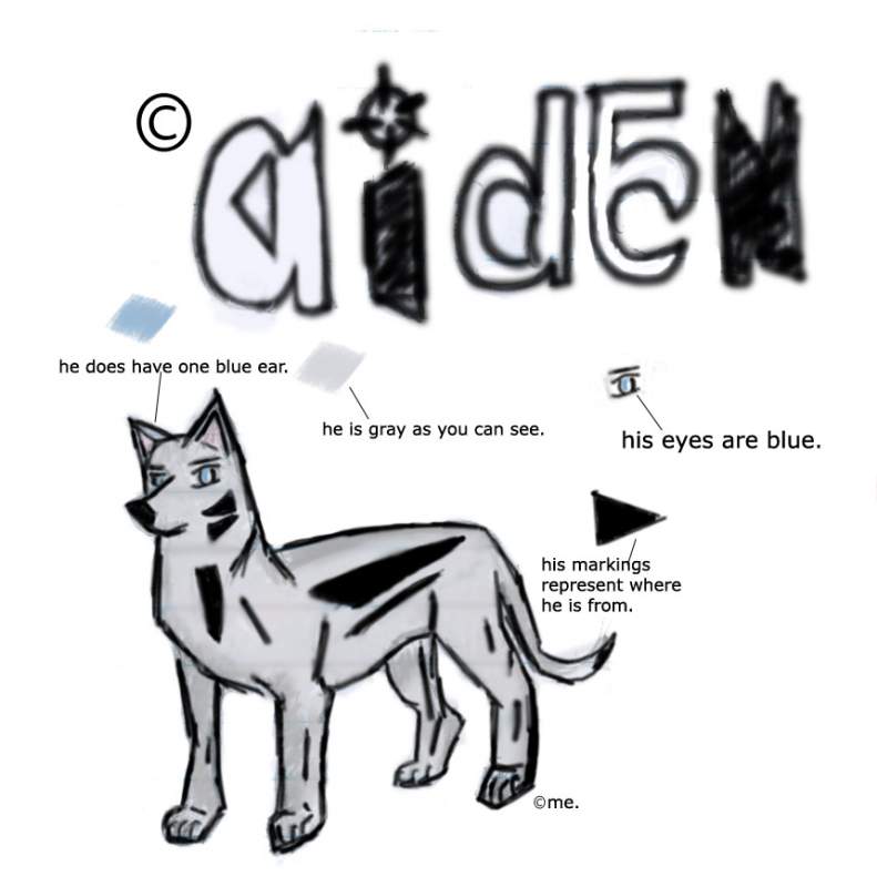 Aiden