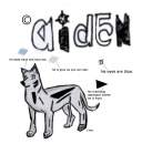 Aiden