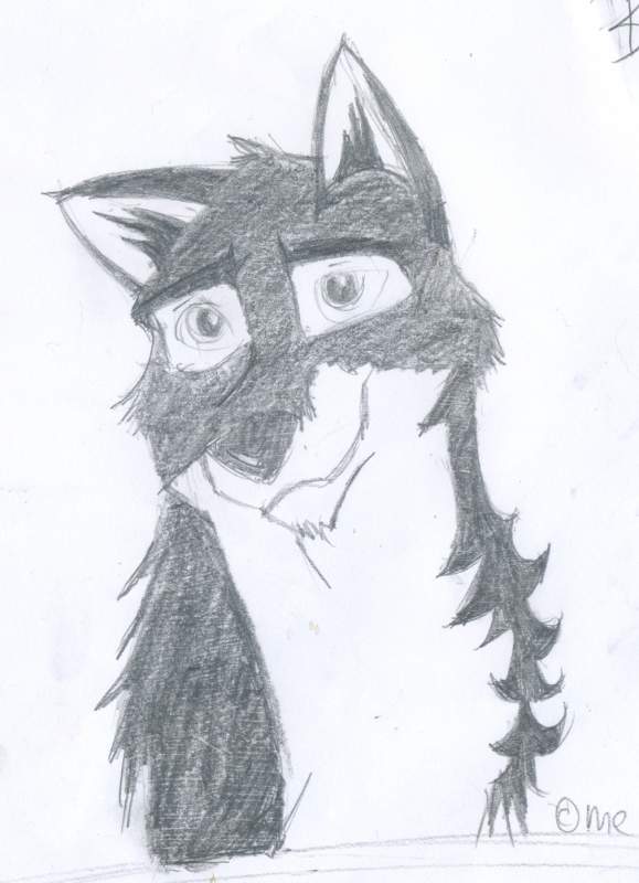 Balto