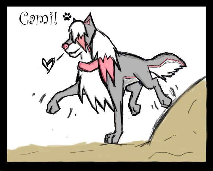 Cami