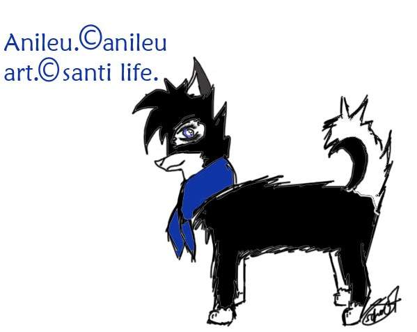 Anileu ~ Request