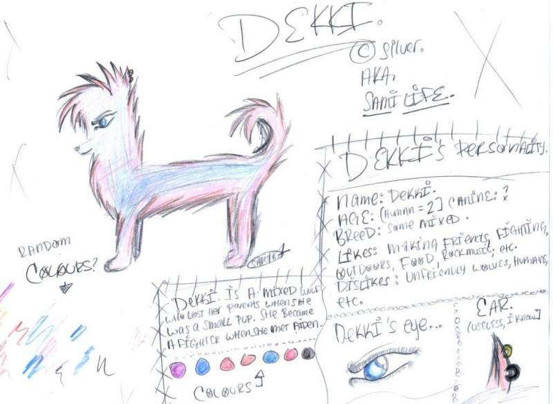 Dekki.