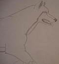 A huskie