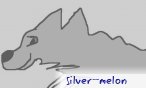 silver_melon