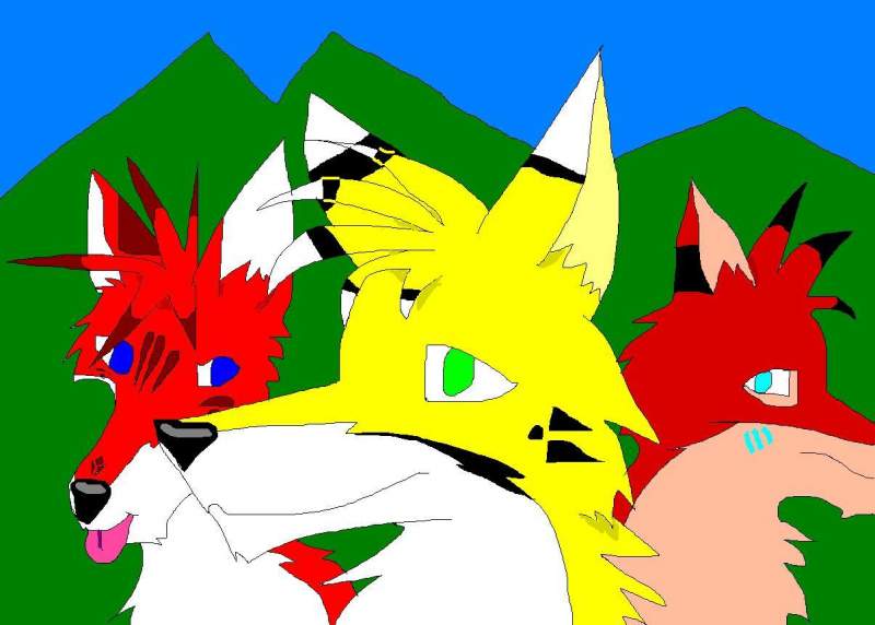 Brook&Clad&Rapter