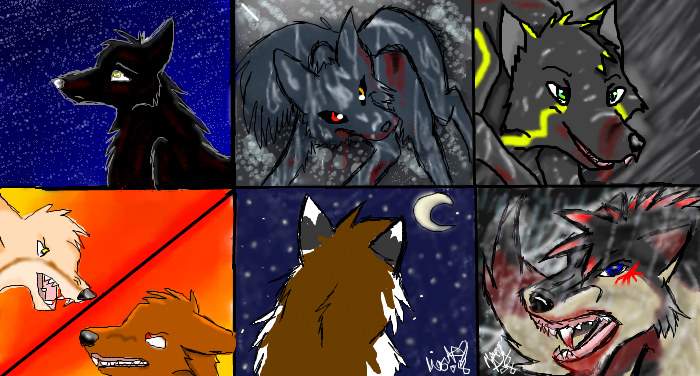 Wolf collob