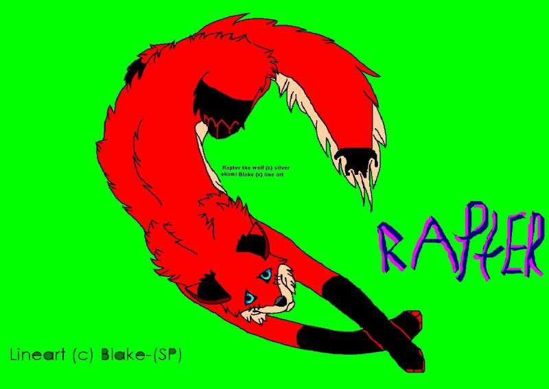 Rapter