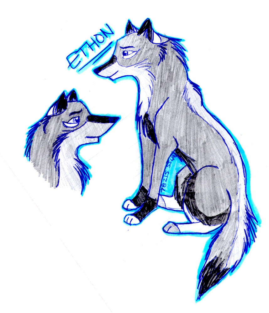 Ethon Concept